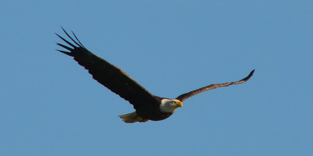 K1600_DSC_0027_1
