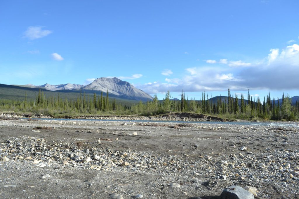 DSC_0386