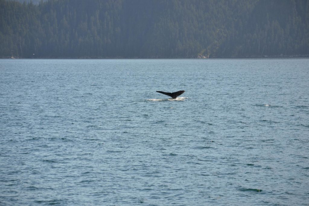 DSC_1373