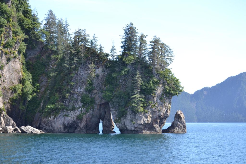 DSC_1377