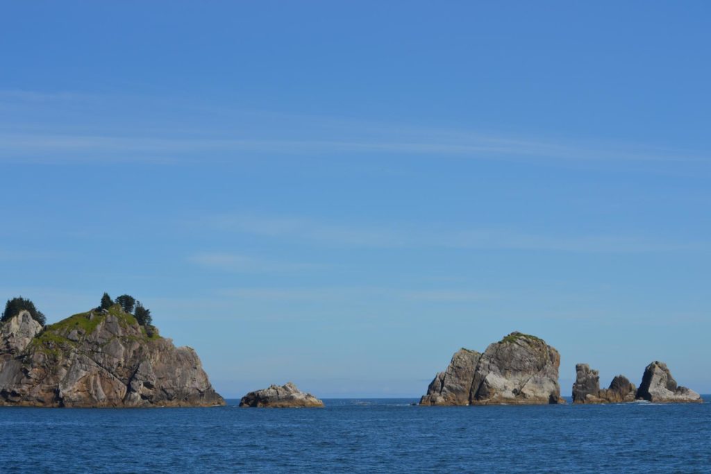 DSC_1418
