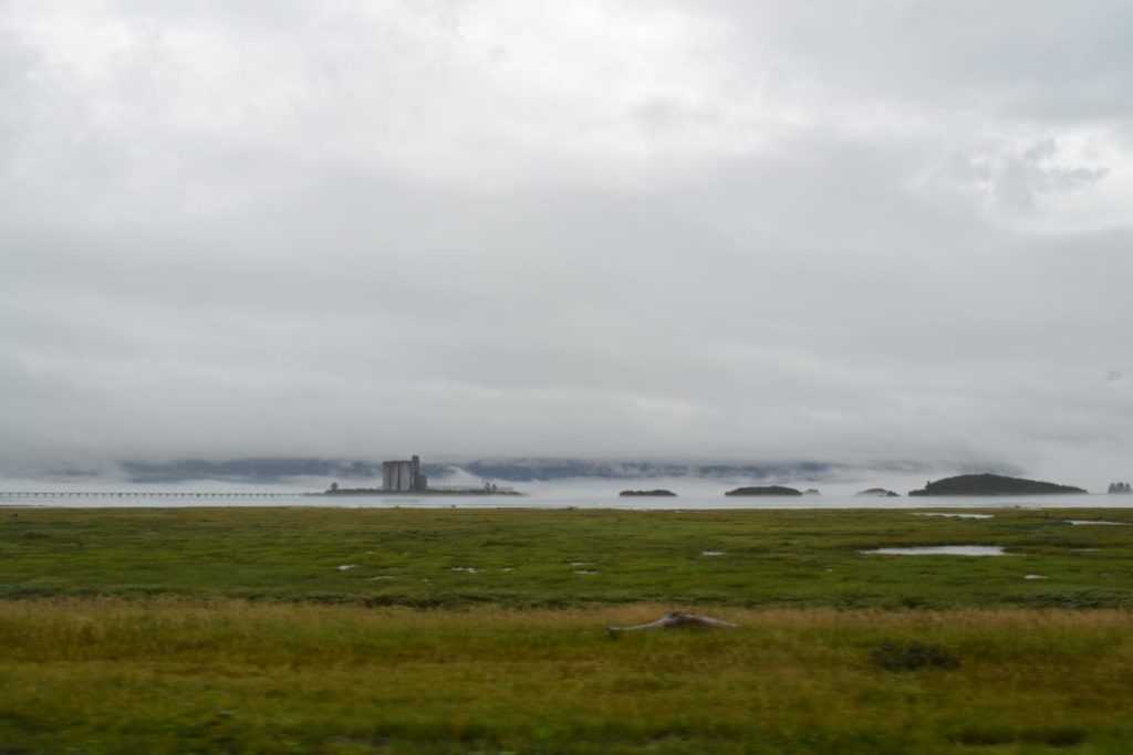 DSC_1782