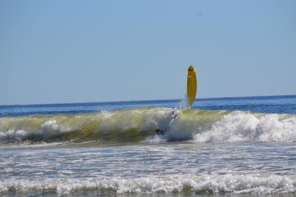 dsc_2399